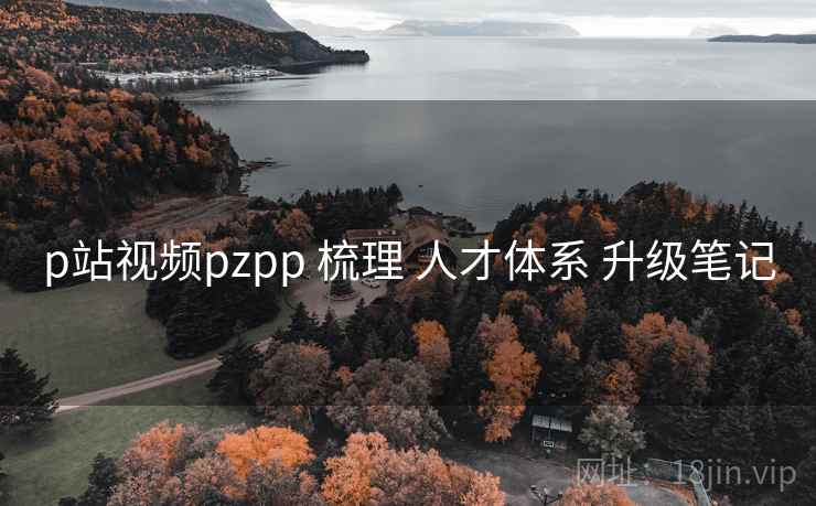 p站视频pzpp 梳理 人才体系 升级笔记  第1张