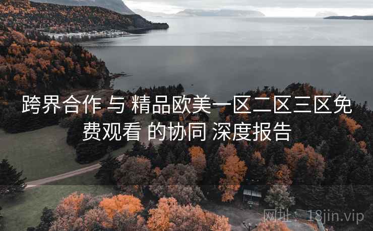 跨界合作 与 精品欧美一区二区三区免费观看 的协同 深度报告  第2张