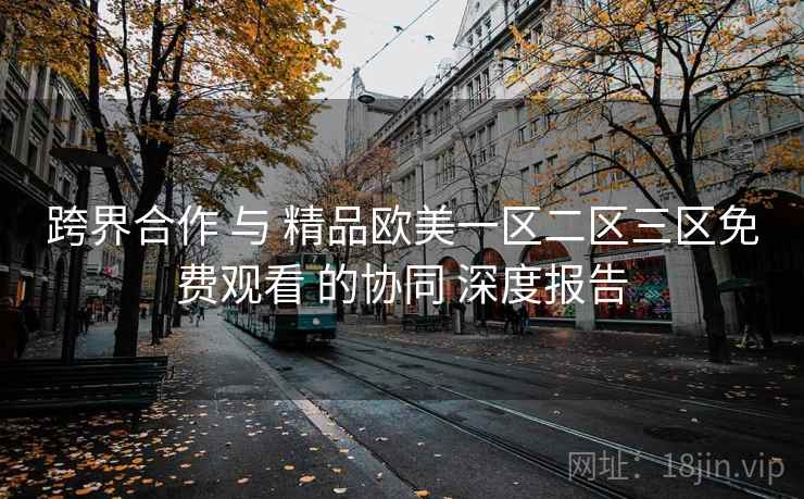 跨界合作 与 精品欧美一区二区三区免费观看 的协同 深度报告  第1张