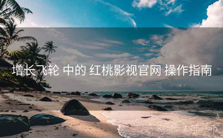 增长飞轮 中的 红桃影视官网 操作指南  第1张