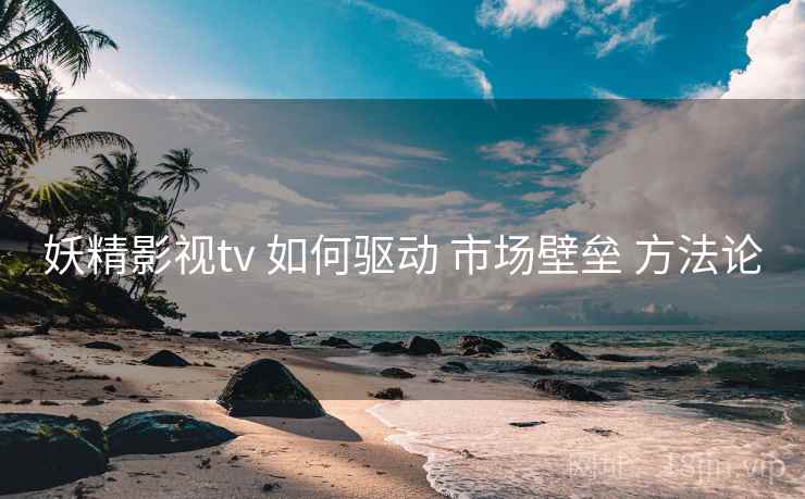 妖精影视tv 如何驱动 市场壁垒 方法论  第2张