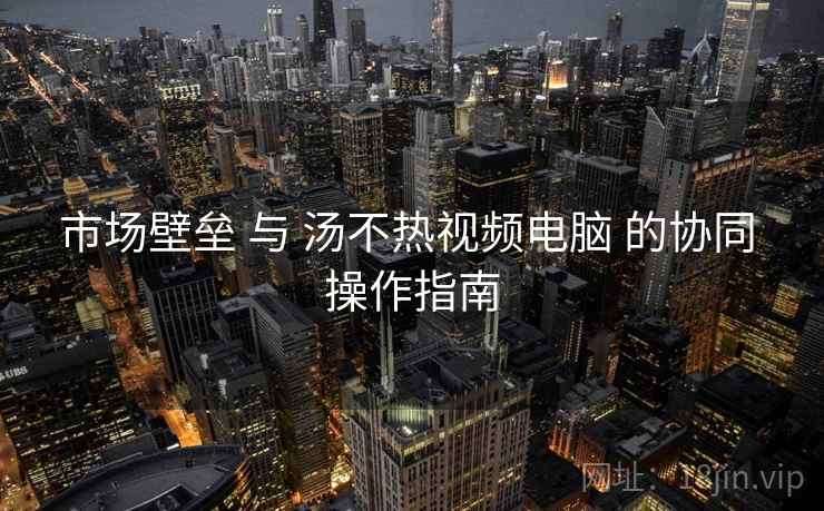 市场壁垒 与 汤不热视频电脑 的协同 操作指南  第1张