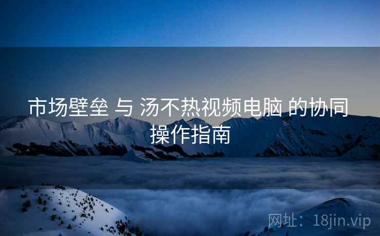 市场壁垒 与 汤不热视频电脑 的协同 操作指南  第2张
