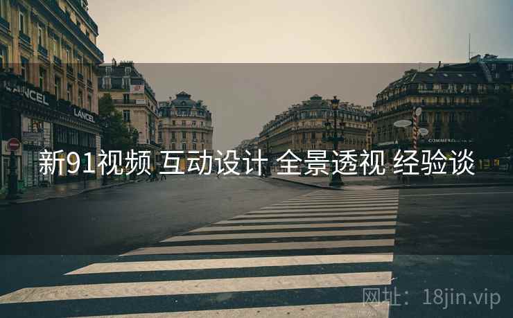 新91视频 互动设计 全景透视 经验谈  第1张