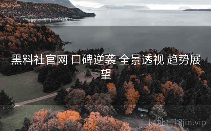 黑料社官网 口碑逆袭 全景透视 趋势展望  第2张