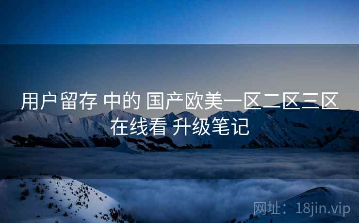 用户留存 中的 国产欧美一区二区三区在线看 升级笔记  第1张