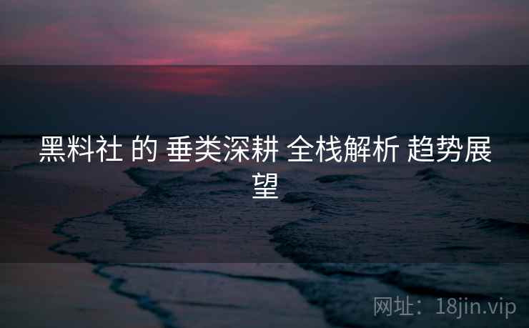 黑料社 的 垂类深耕 全栈解析 趋势展望  第2张