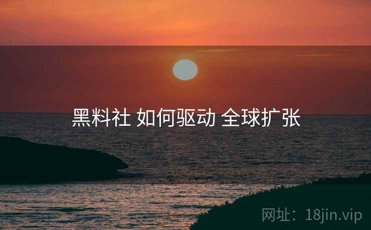 黑料社 如何驱动 全球扩张  第1张