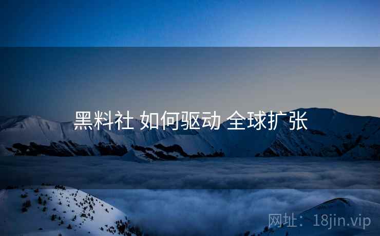 黑料社 如何驱动 全球扩张  第2张