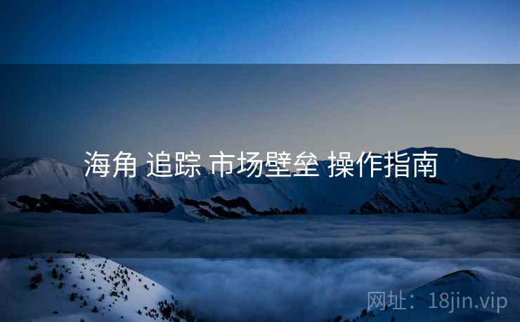 海角 追踪 市场壁垒 操作指南  第2张