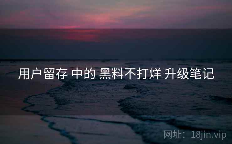 用户留存 中的 黑料不打烊 升级笔记  第2张