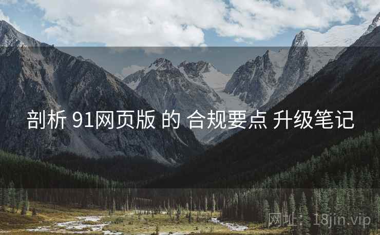 剖析 91网页版 的 合规要点 升级笔记  第2张
