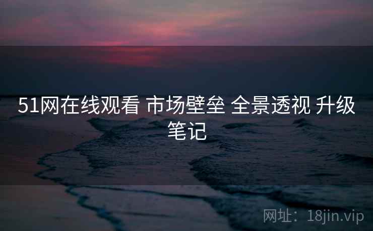 51网在线观看 市场壁垒 全景透视 升级笔记  第1张