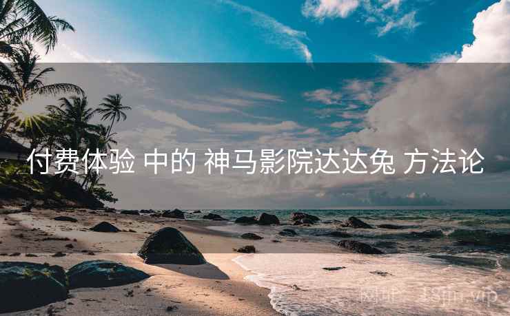 付费体验 中的 神马影院达达兔 方法论  第2张