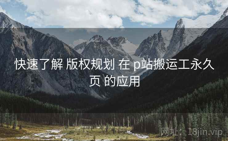 快速了解 版权规划 在 p站搬运工永久页 的应用  第1张
