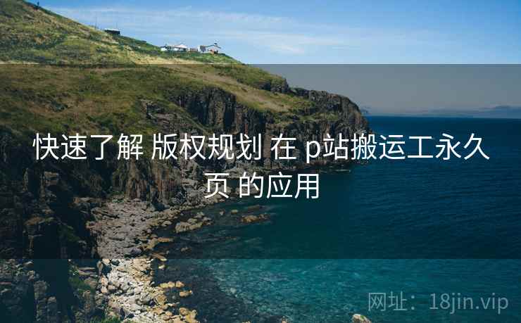 快速了解 版权规划 在 p站搬运工永久页 的应用  第2张