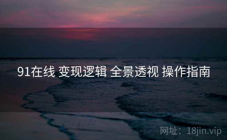91在线 变现逻辑 全景透视 操作指南  第1张